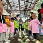Anak KB IT LHI mengenal tanaman ciptaan Allah saat outing class